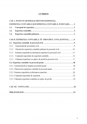 Expertiza Contabila In Procesul Civil Si Penal Tocilar Ro