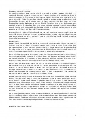 Pag 12