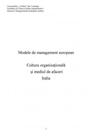 Cultura Organizationala Si Mediul De Afaceri Italia Tocilar Ro