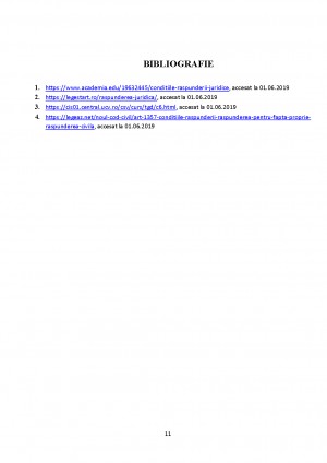 Pag 10