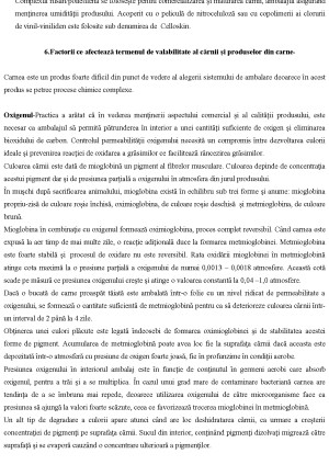 Pag 12